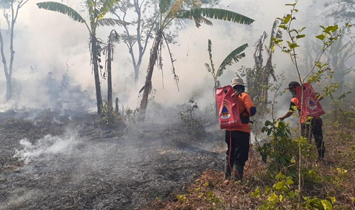 Para petugas BPBD Kabupaten Jember sedang berusaha menjinakkan api menggunakan water spray.