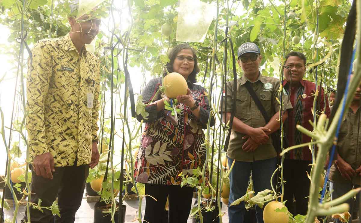 Pj Wali Kota Kediri Petik Melon di P4S Langgeng Mazaya