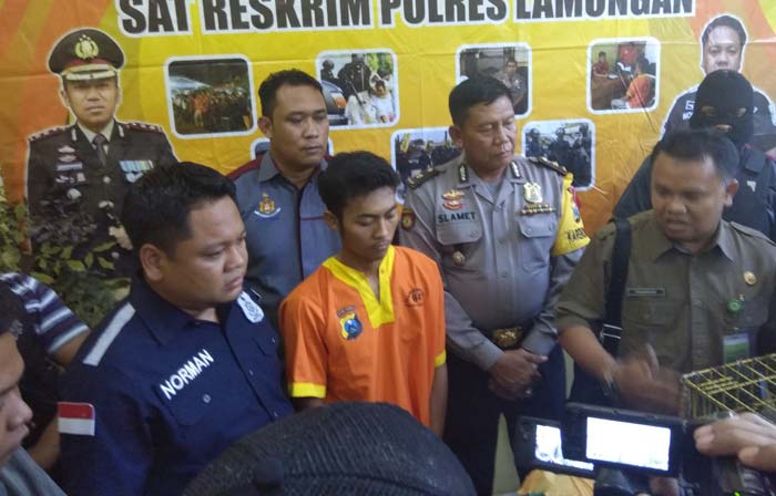 Kasatreskrim Polres Lamongan, AKP Wahyu Norman Hidayat (kiri) saat press release. 