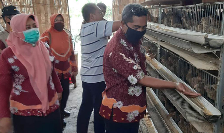 Dinas Peternakan Kabupaten Pasuruan Kembangkan Maggot sebagai Pakan Alternatif