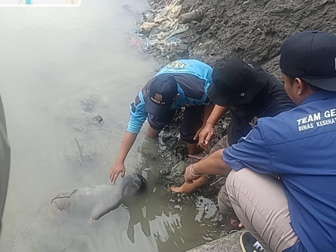 Petugas gabungan saat melakukan evakuasi jasad bocah yang ditemukan tak bernyawa di Kalimas