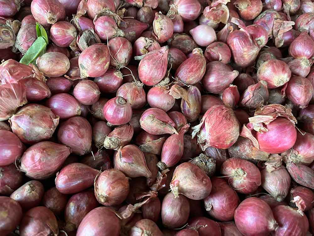 Harga Sembako Jatim Kamis 5 Juni 2025: Bawang Merah Rp38.717/kg, Cabai Rawit Rp33.558/kg