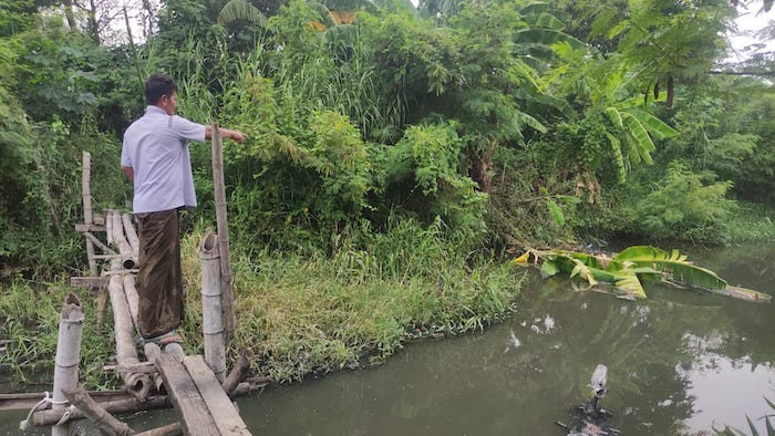 Kemunculan Sejumlah Buaya di Sungai Gegerkan Warga Candi Sidoarjo