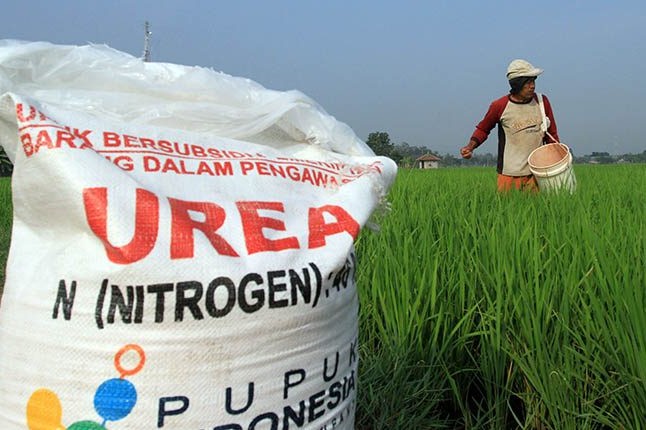 Harga Pupuk Subsidi Turun 20 Persen, Kepala DKPPP Tuban Minta Semua PPTS/Kios Patuhi HET Terbaru
