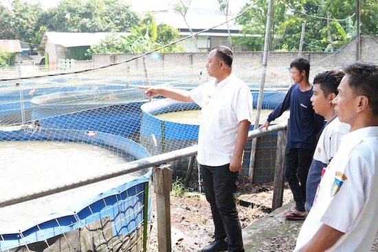 Terpicu dari Dua Produsen Lele yang Berkembang Pesat, Pemkab Kediri Dorong Penguatan Nilai Jual