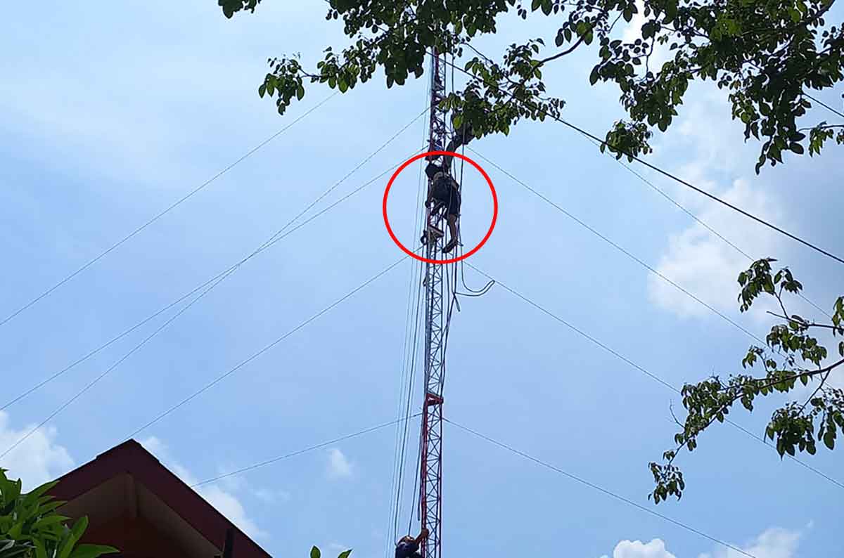 Proses evakuasi teknisi antena oleh petugas BPBD Sidoarjo, Minggu (15/1/2023)