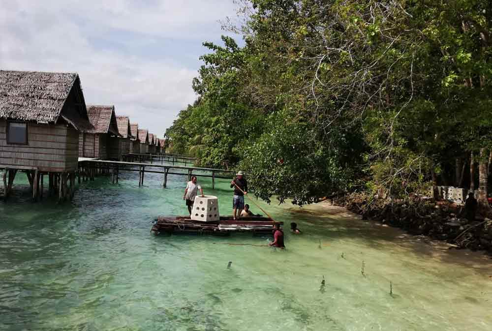 Proses peluncuran Hexareef di Papua Paradise Eco-Resort sebagai upaya untuk mengembalikan garis pantai dan keberadaan terumbu karang di sekitar lokasi. (Ist)