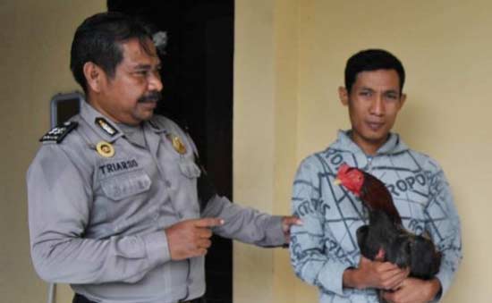 PENJUDI. Tersangka penjudi sabung ayam, Yudi Rasmono memegangi ayam jagonya. Foto: catur andy/BANGSAONLINE