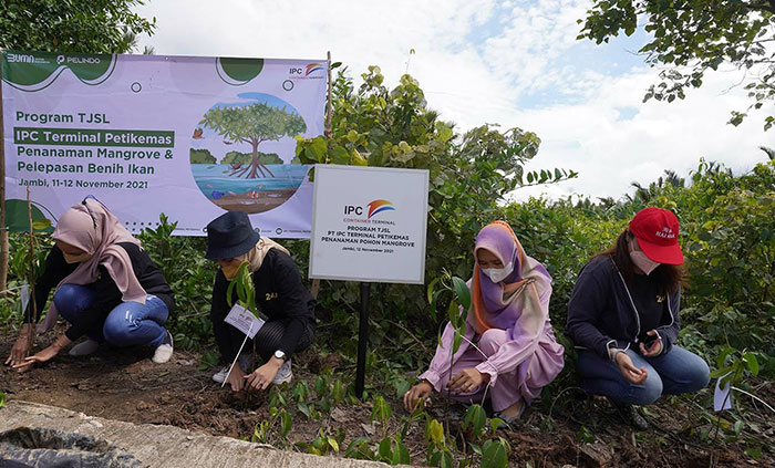 TJSL penanaman mangrove.