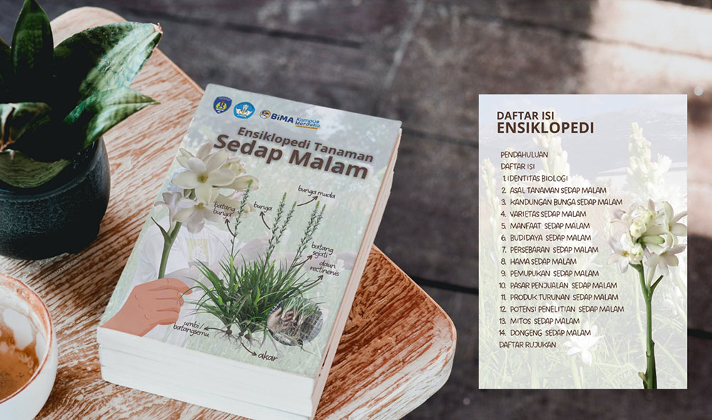 Ensiklopedia Tanaman Sedap Malam karya Universitas PGRI Wiranegara (Uniwara) Pasuruan.
