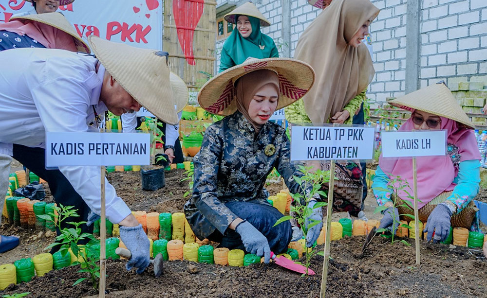 Ketua Tim Penggerak PKK Kabupaten Gresik, Nurul Haromaini Ali Fandi Akhmad Yani  saat tanam cabai di Desa Kisik. Foto: Ist.