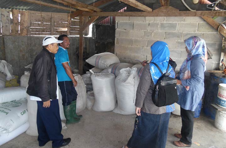 Petugas saat mengambil sampel pakan ternak.