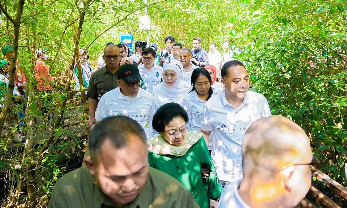 Gubernur Khofifah Optimis Kebun Raya Mangrove Surabaya Dongkrak Kesejahteraan Masyarakat Pesisir