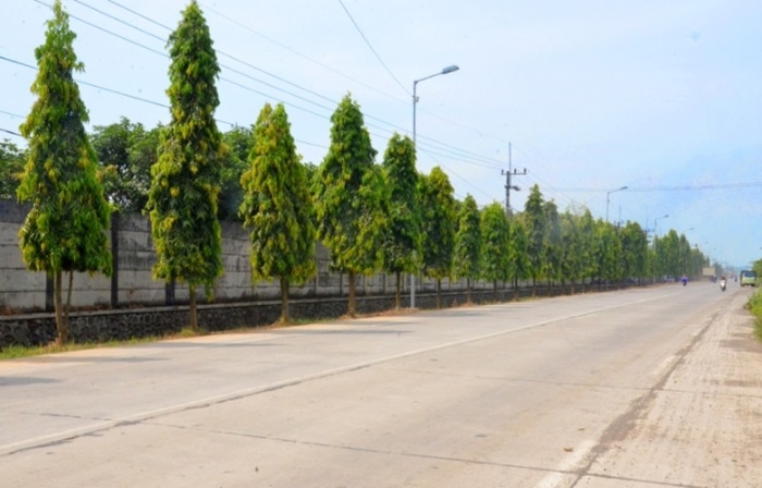 Beberapa jalan di Dawarblandong yang sudah mulus dua tahun lalu.
