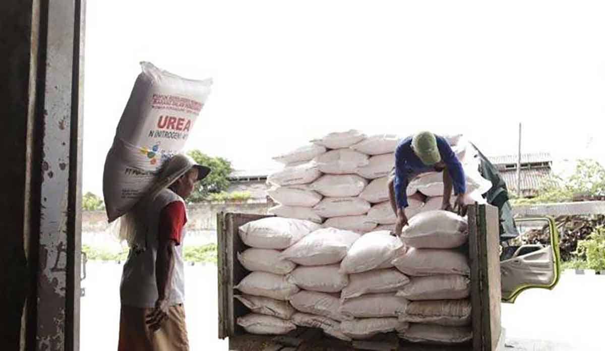 Harga Pupuk Subsidi di Montong Tuban Berbeda, Antara Rp280-320 Ribu