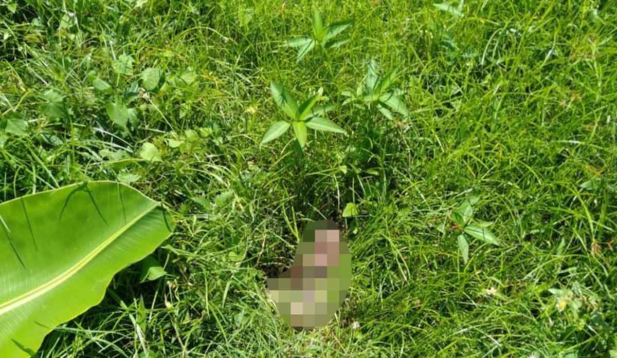 Penemuan jasad bayi atau orok di Perumahan Rembangan Hill Blok E Nomor 11, Kelurahan Baratan, Kecamatan Patrang, Jember.