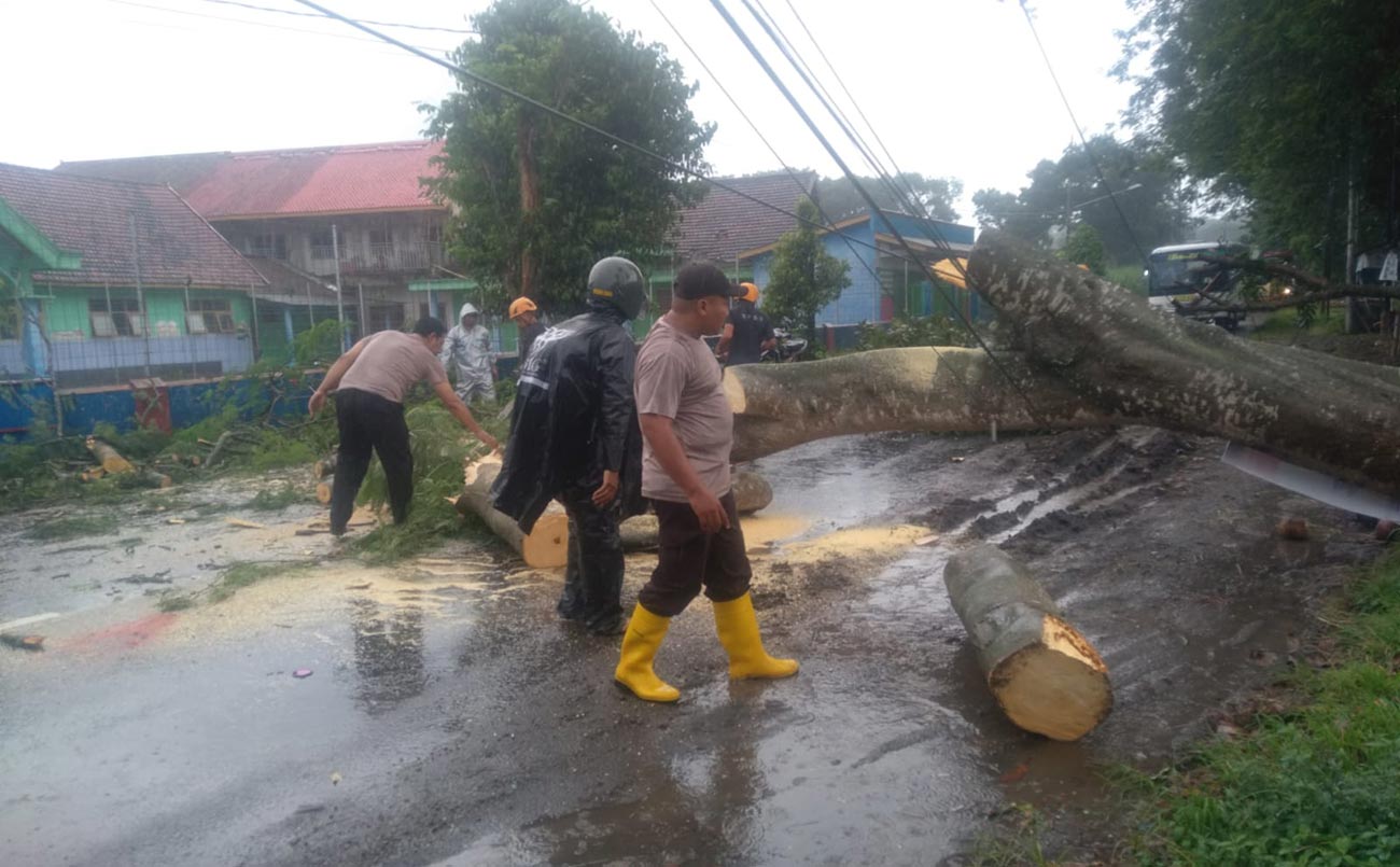 Petugas gabungan saat memotong pohon yang tumbang di Jalan Raya Pare - Wates. Foto: Ist.