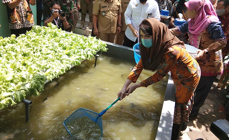 Ketua Forikan Jatim Arumi Bachsin, bersama Bupati Nganjuk Novi Rahman Hidayat, dan Ketua Gemarikan Nganjuk Yuni Sophia, saat panen ikan di kolam Desa Kedung Rejo. foto: BAMBANG/ BANGSAONLINE