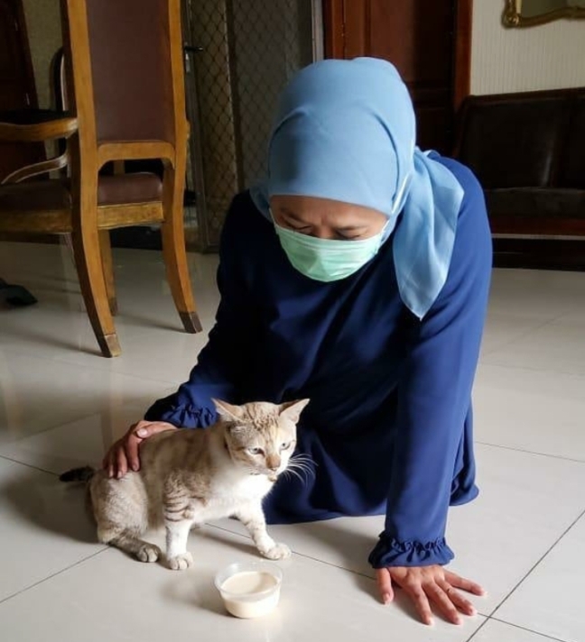 Gubernur Jawa Timur Khofifah Indar Parawansa bersama Moza, kucing yang  menemani selama isolasi mandiri. foto: instagram