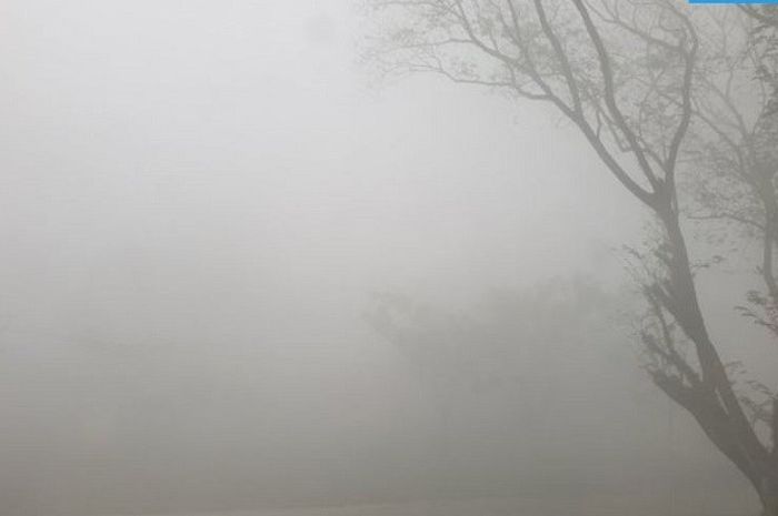Perhatikan Wilayah yang Terdampak Fenomena Bediding di Indonesia. Foto: Ist
