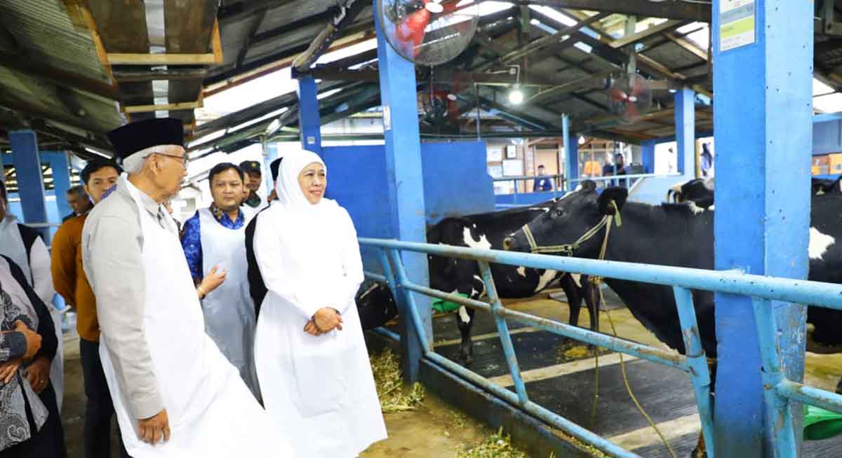 Gubernur Khofifah saat melakukan peninjauan ke KPSP Nongkojajar, Kabupaten Pasuruan.