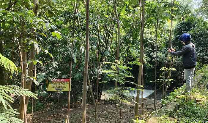 Meresahkan, 3 Ekor Buaya Sering Muncul di Sungai Janti, Warga Siaga
