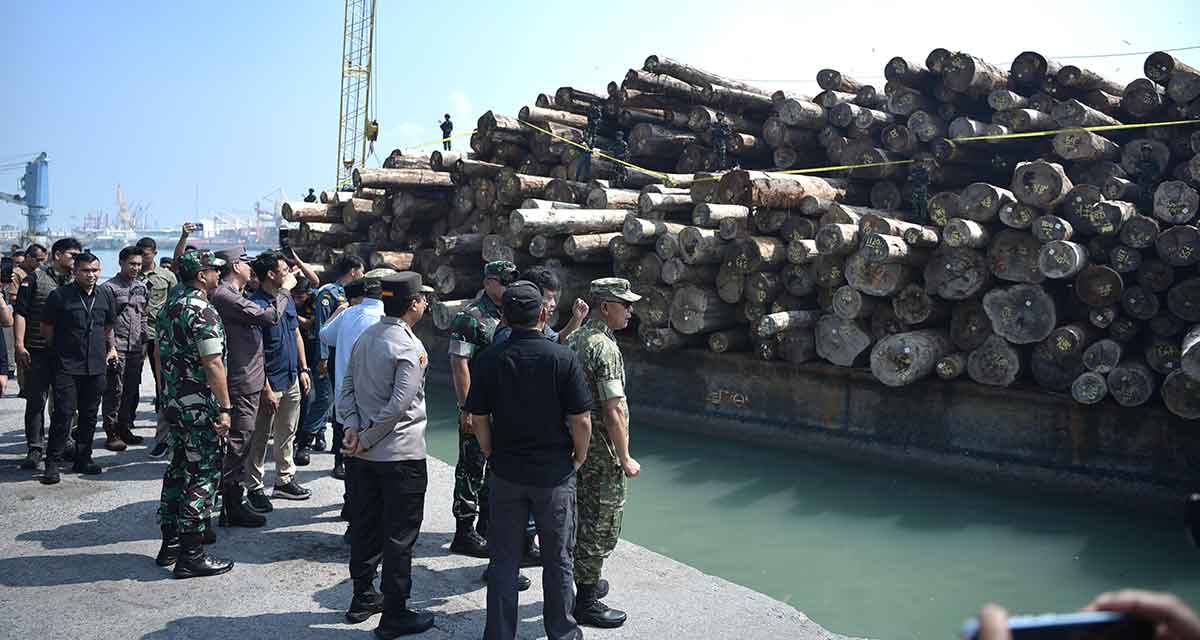 Kepala BPKP RI, Muhammad Yusuf Ateh, bersama rombongan meninjau tumpukan kayu hasil illegal logging di atas tongkang di Pelabuhan Gresik. Foto: Ist