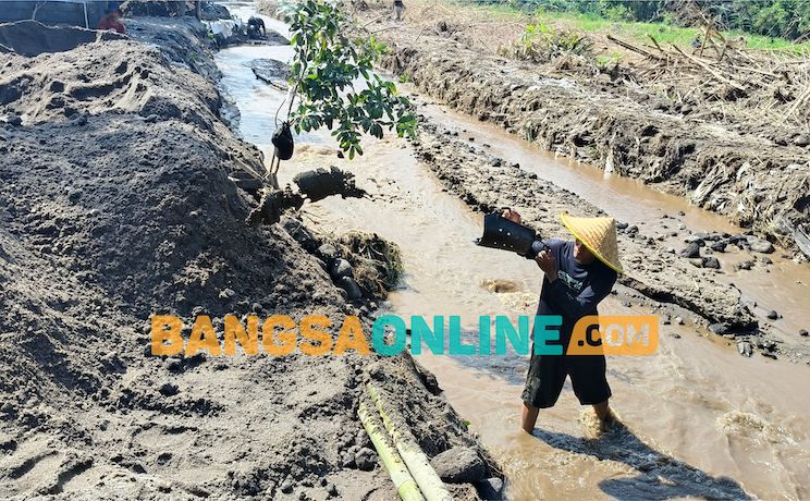 Berkah di Balik Banjir Bandang Pranggang Plosoklaten: Limpahan Pasir Berkualitas dari Gunung Kelud