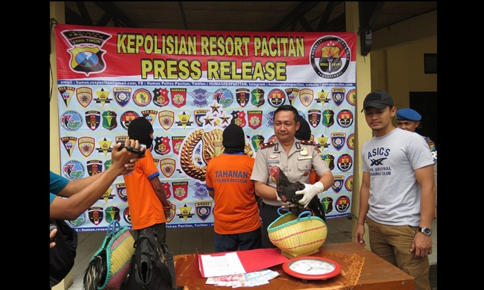 ?Jajaran Mapolres Pacitan saat menggelar jumpa pers terkait penggerebekan judi sabung ayam di Sudimoro. Foto : IST