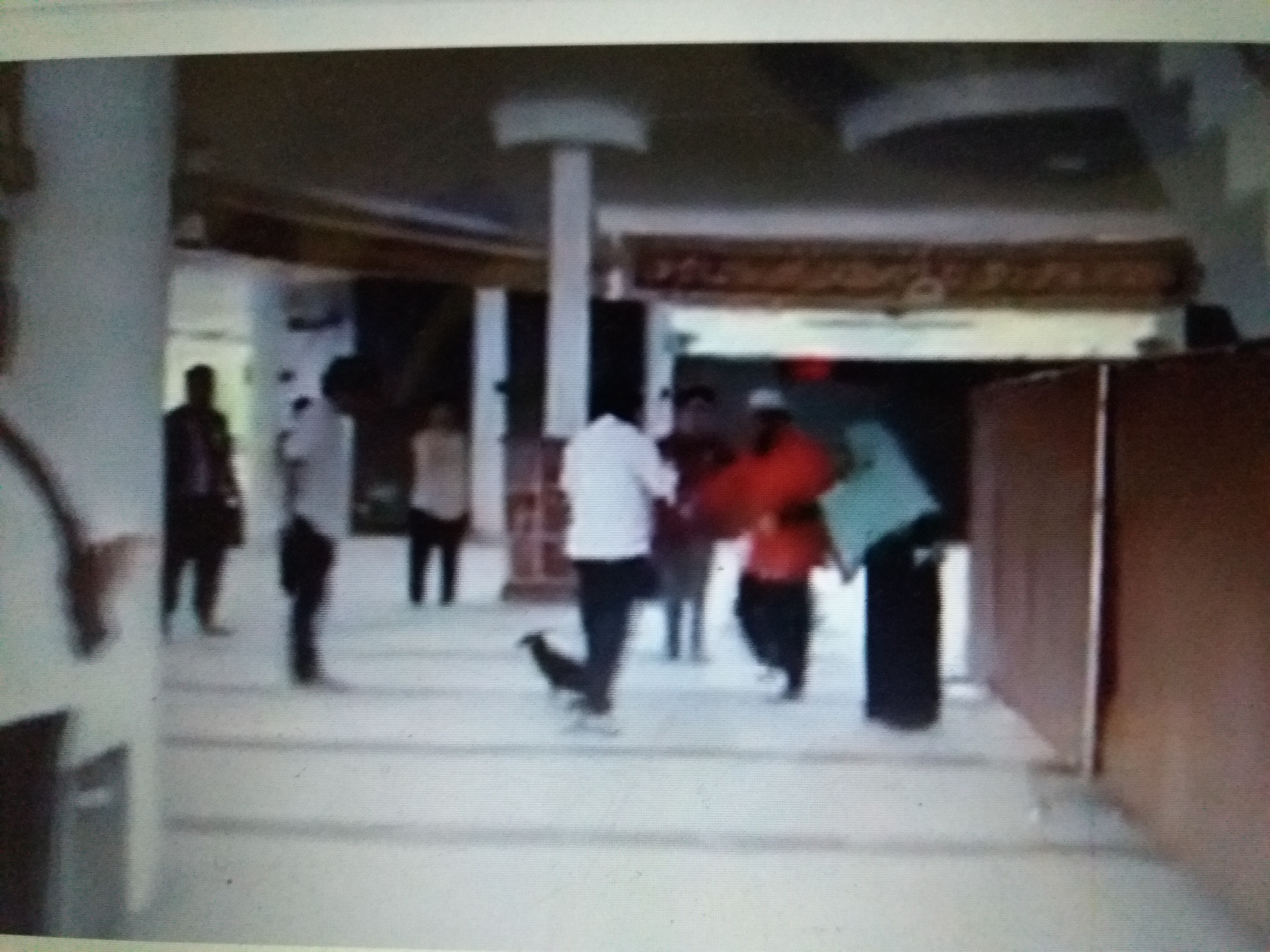 Wanita ini mengaku beragama Katolik masuk ke dalam masjid lalu melepas anjjing. Tampak wanita berbaju putih, sedang anjingnya berkeliaran di dalam masjid. foto: YouTube