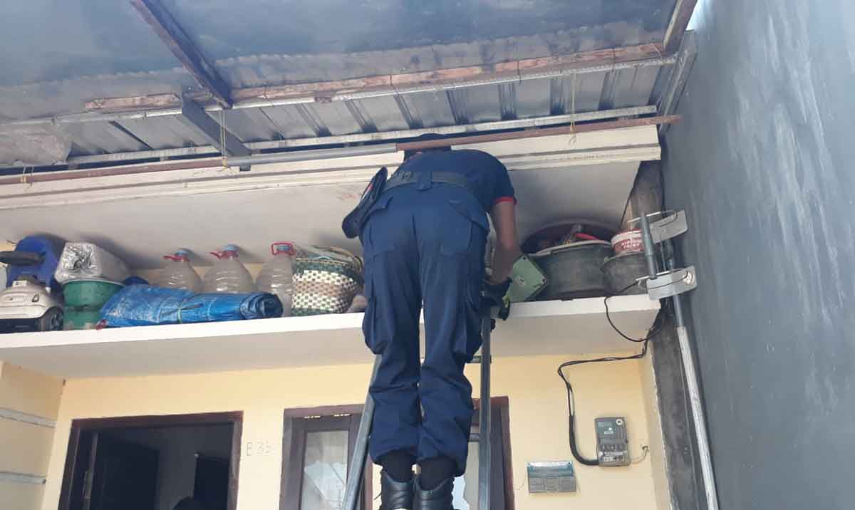 Petugas saat berusaha menurunkan kucing dari plafon. Foto: Ist