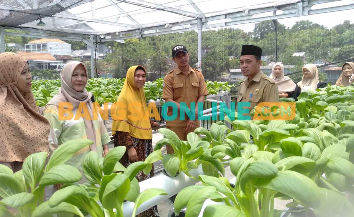 Sentra Hidroponik Pemdes Klangonan Gresik Jadi Jujukan Eduwisata