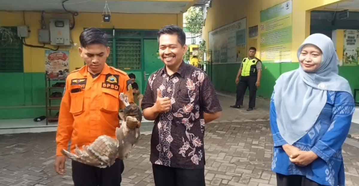 Petugas dari Damkar Kota Pasuruan usai mengevakuasi burung hantu yang terjerat benang layangan.
