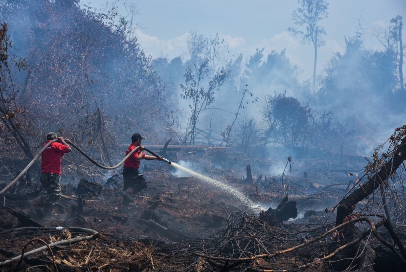 3 Wilayah Paling Parah Terpapar Kabut Asap, Ada Pekanbaru. Foto: Ist