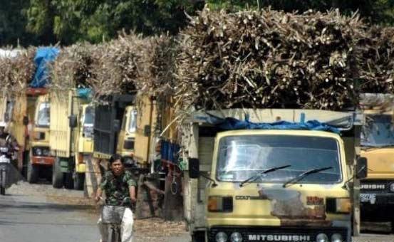 Pembangkit Listrik Tenaga Ampas Tebu Ditarget Mulai Beroperasi 2018
