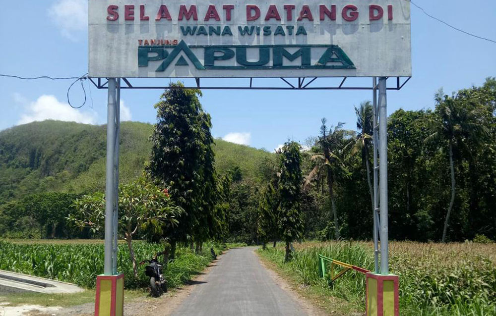 Perbaikan dilakukan sejak gapura sampai ujung menuju Pantai Papuma.