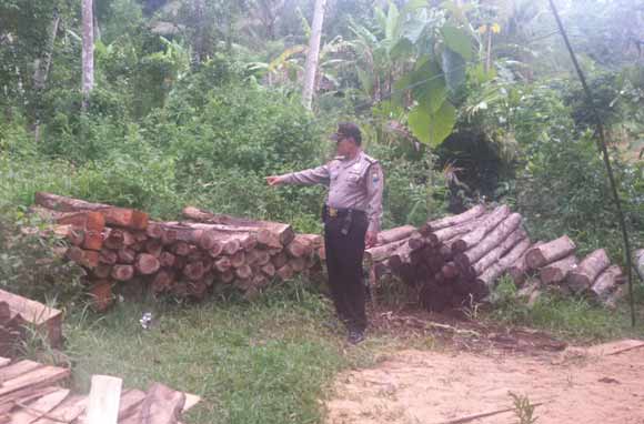 Polisi menunjukan kayu yang diduga hasil curian