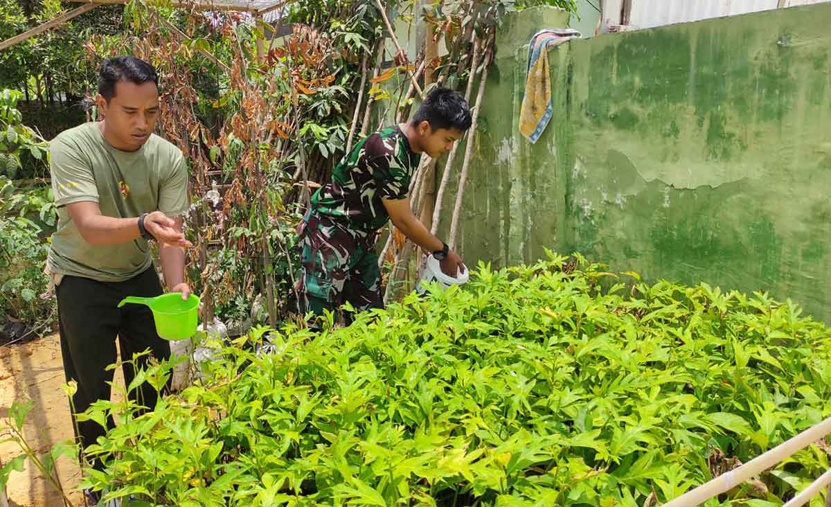 Kodim 0827/Sumenep Lakukan Pemeliharaan 890 Bibit Tanaman Produktif