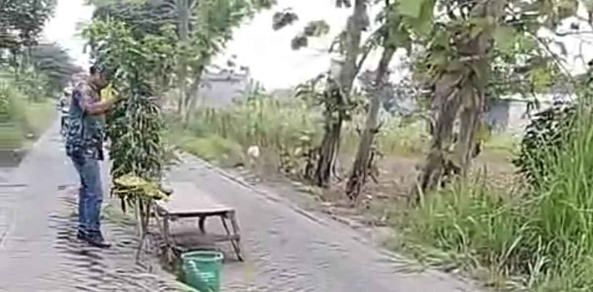 Kondisi ruas jalan kabupaten dengan konstruksi paving yang menghubungkan Desa Domas, Kecamatan Menganti, dengan Desa Bengkeloh, Kecamatan Benjeng, Gresik. Foto: Ist
