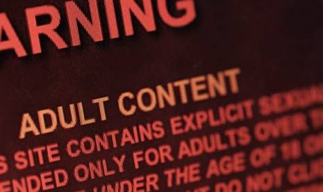 Menkominfo Klaim Blokir 760 Ribu Situs Porno