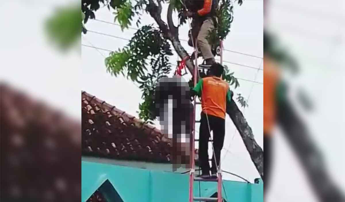 Petugas saat mengevakuasi jenazah korban tersengat listrik di Pamekasan.