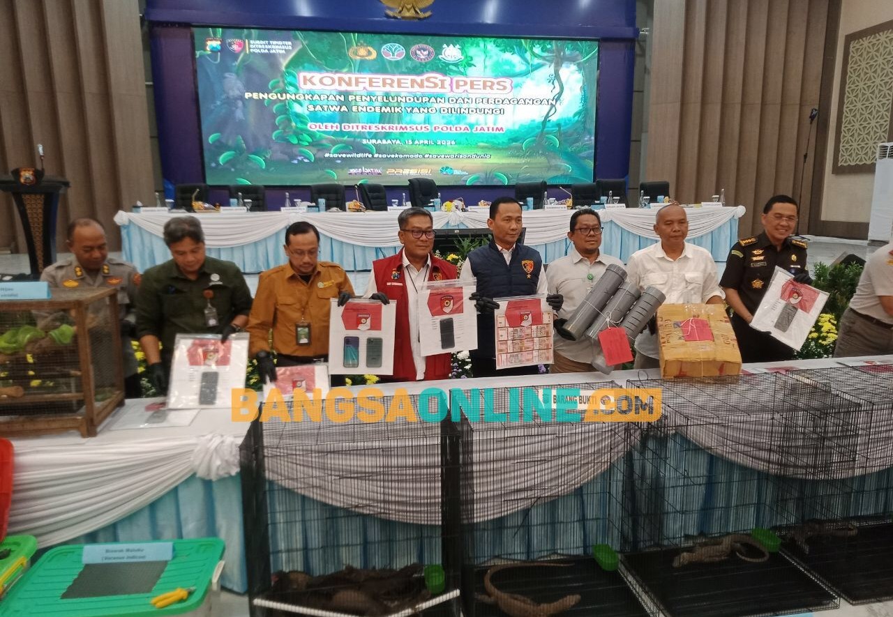 Barang bukti satwa dilindungi yang dihadirkan dalam konferensi pers Polda Jatim