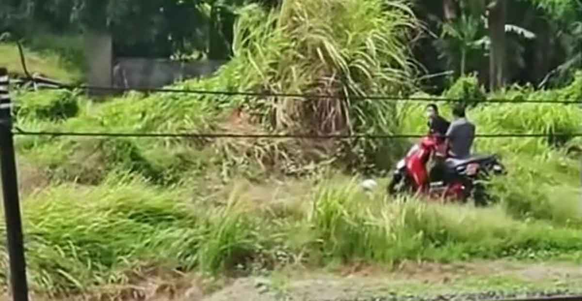 Video viral yang menjadi atensi Kapolsek Krian.