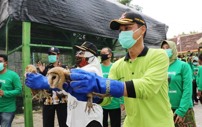 Bupati Bojonegoro Anna Muawanah melakukan pelepasan burung hantu.