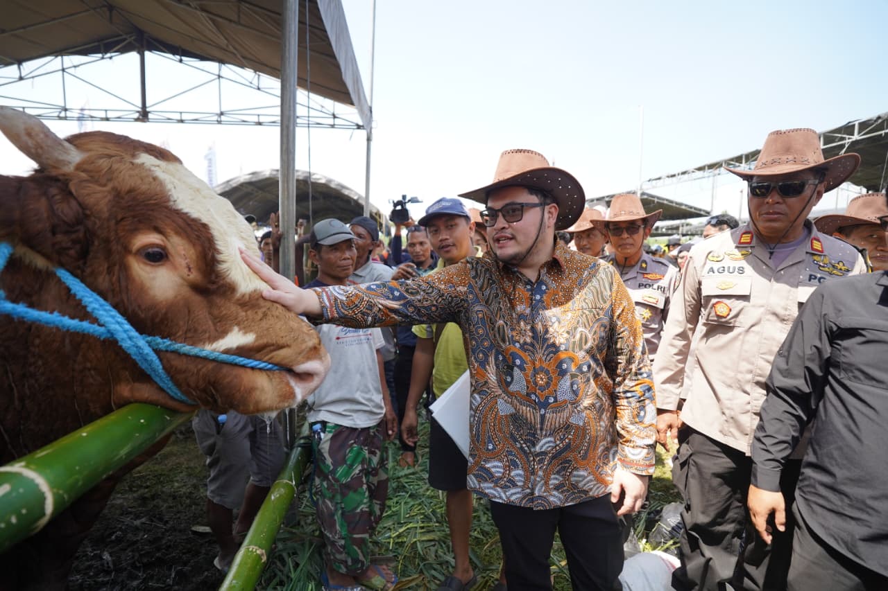 Bupati Kediri Hanindhito Himawan Pramana saat memegang salah satu sapi peserta kontes. (Ist).