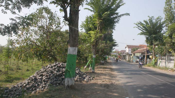 RTH di Kalirejo Kecamatan Bangil.