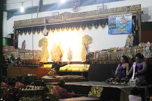 Dalang Cilik Putra Daerah Meriahkan Sedekah Bumi di Desa Karangbong Sidoarjo