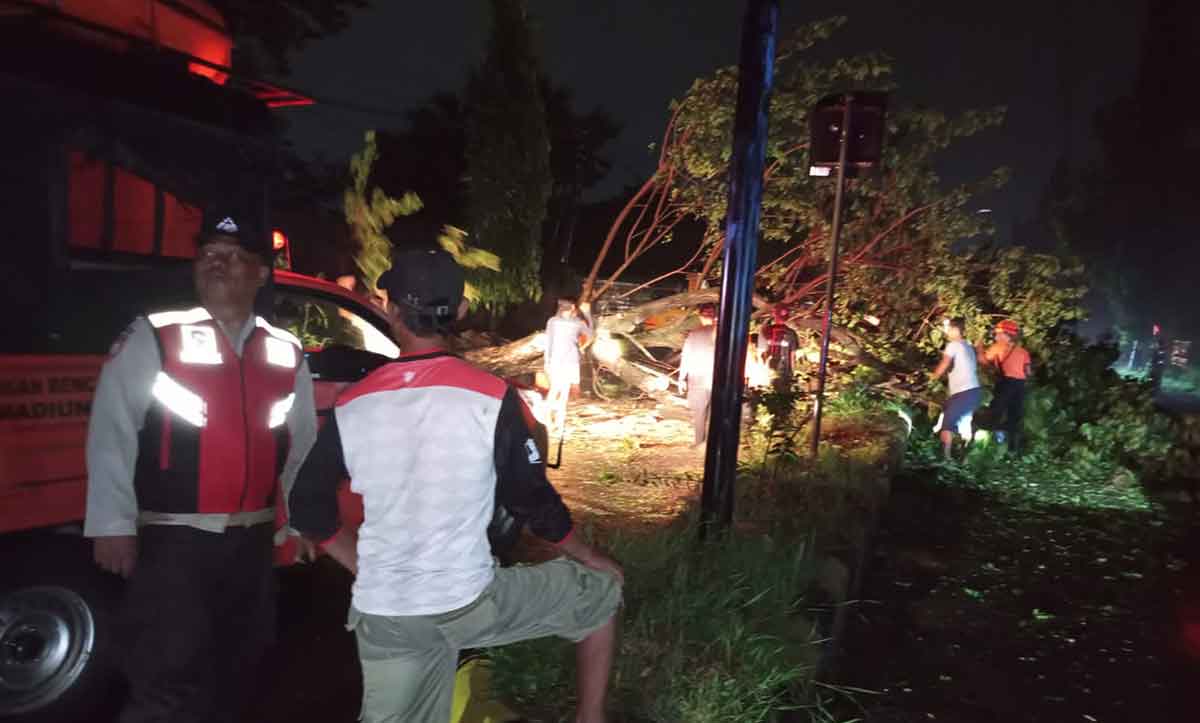 Petugas dari Polsek Manguharjo saat mengevakuasi pohon tumbang.