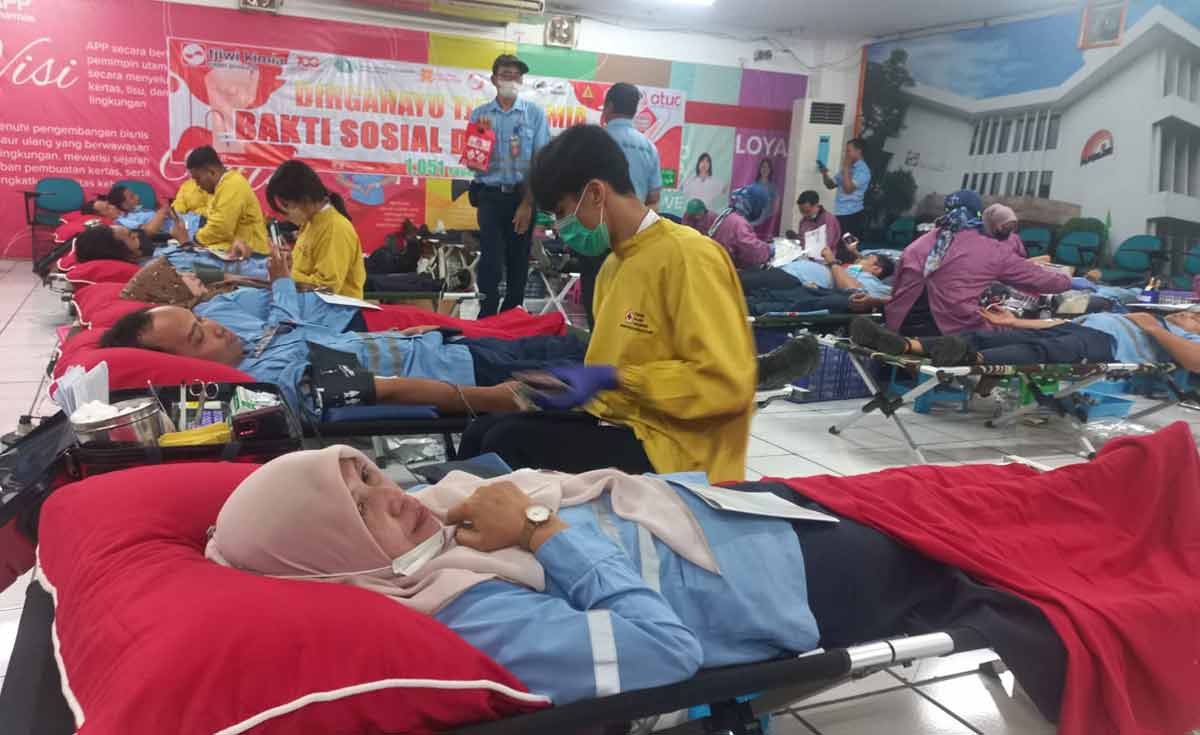 Para petugas PMI saat melakukan proses donor darah.