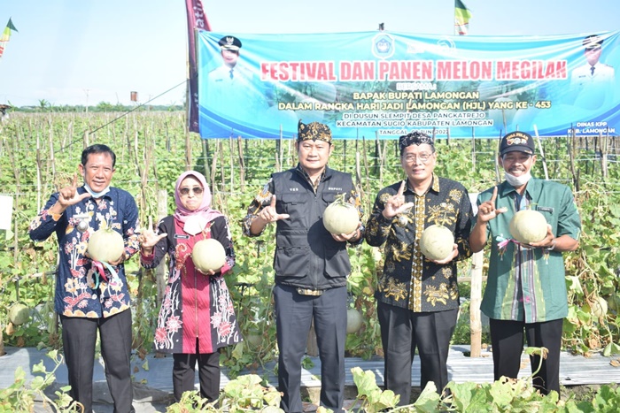 Bupati Yuhronur dan Wabup Abdul Rouf didampingi Kadin Pertanian Sukriyah dan Camat Sugio, Sujirman saat panen raya buah melon.